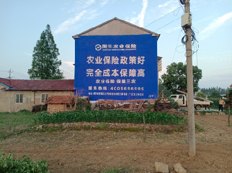 灵宝墙体广告的优劣势你知道吗？